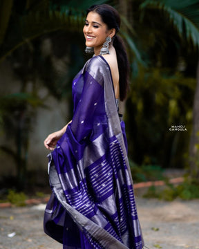 Cetasean Blue Silk Saree With Beautiful Jhalar & Rich Pallu